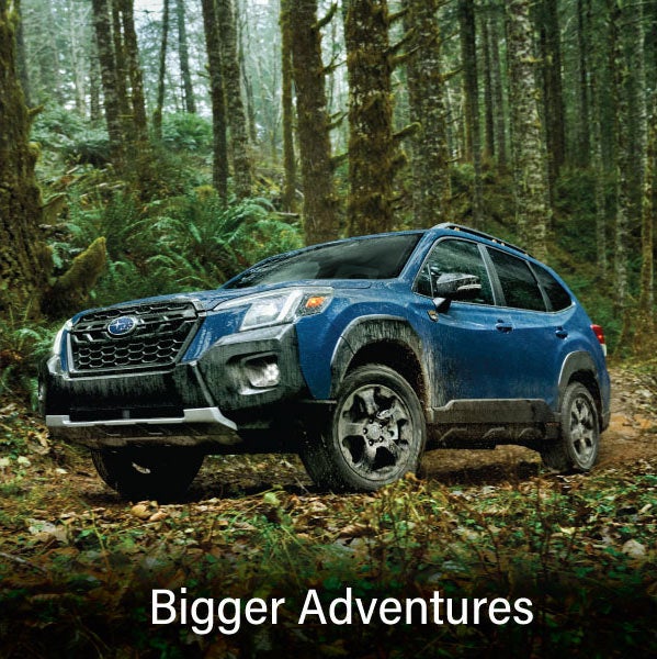 A blue Subaru outback wilderness with the words “Bigger Adventures“. | Burke Subaru in Cape May Court House NJ