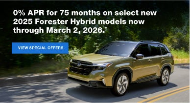 Forester Hybrid | Burke Subaru in Cape May Court House NJ