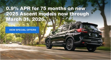 Ascent | Burke Subaru in Cape May Court House NJ