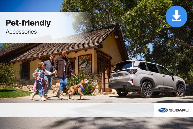 Burke Subaru in Cape May Court House NJ