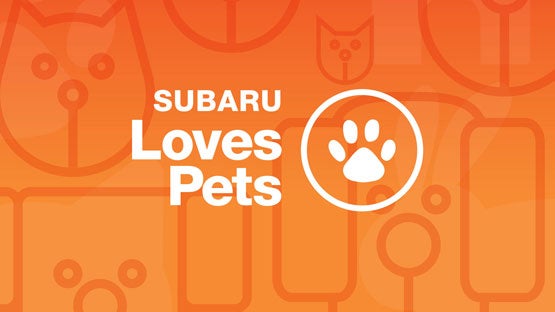 Burke Subaru in Cape May Court House NJ