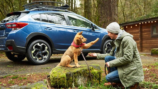 Burke Subaru in Cape May Court House NJ