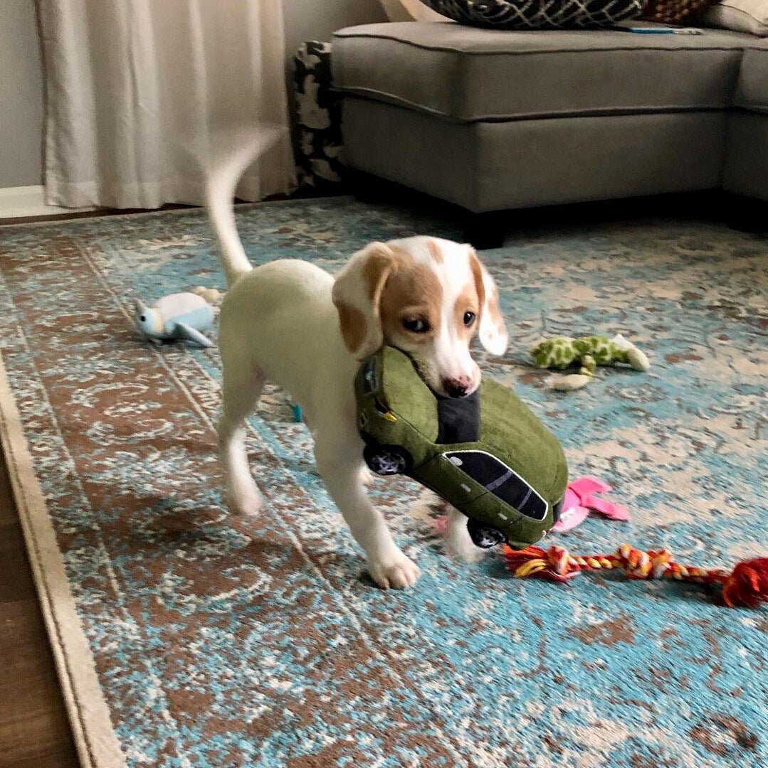 Burke Subaru in Cape May Court House NJ