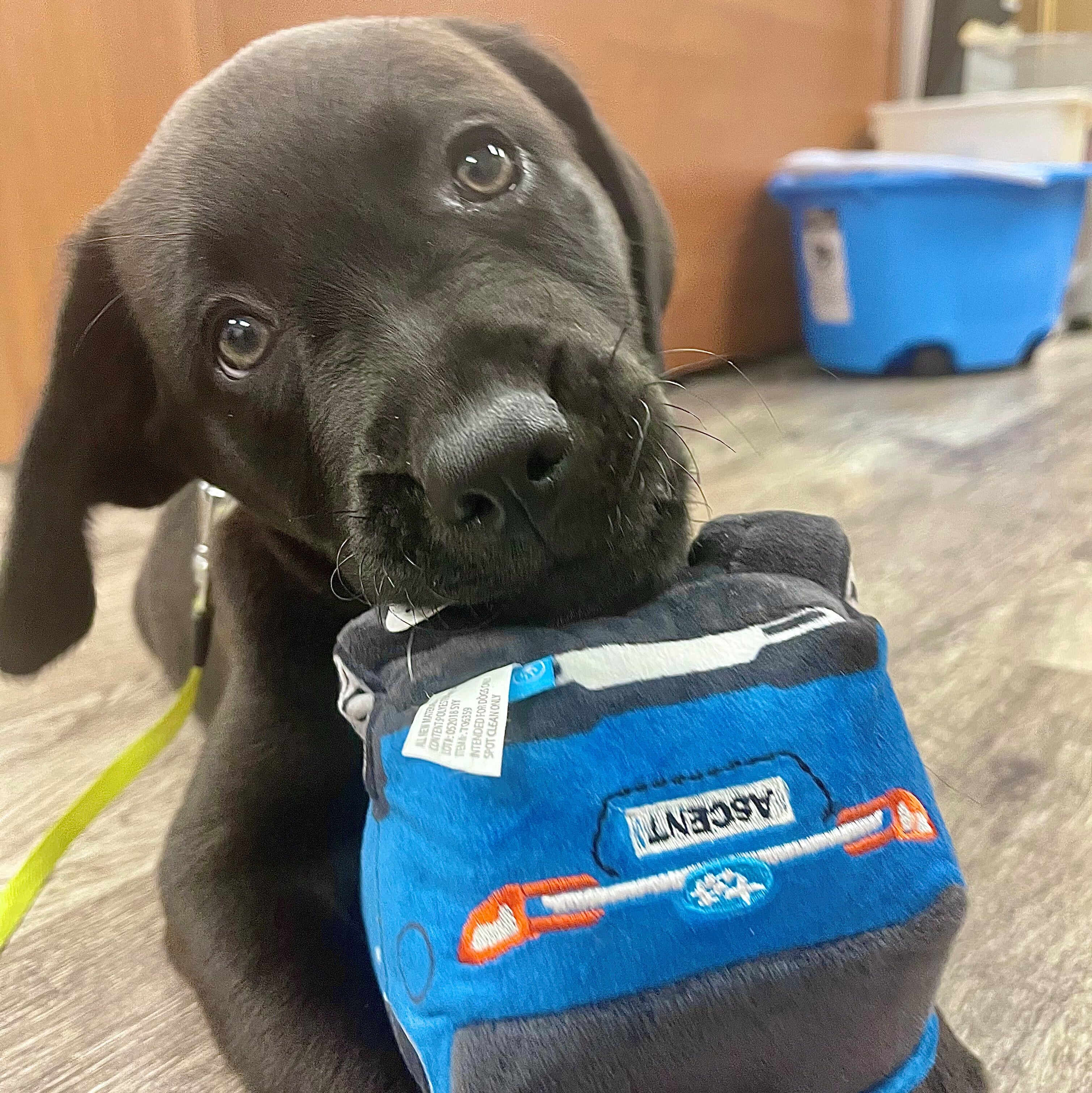 Burke Subaru in Cape May Court House NJ