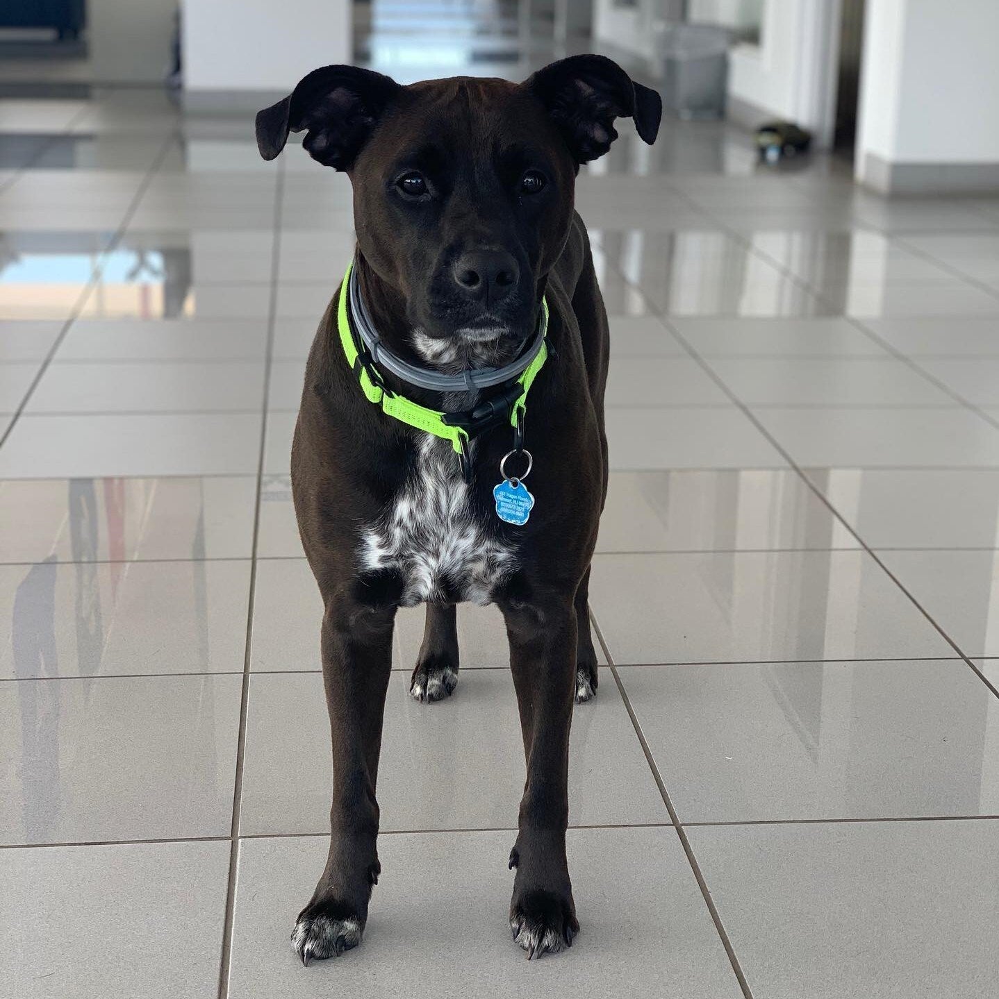 Burke Subaru in Cape May Court House NJ
